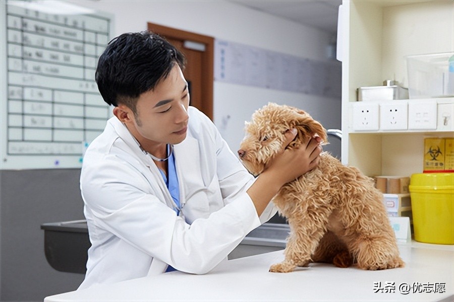 另辟蹊径与另谋出路,另辟蹊径创业