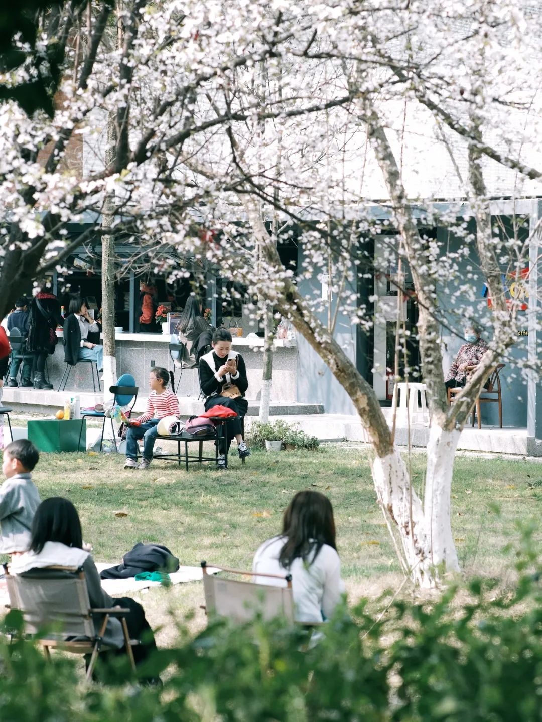 成都有哪些公园值得一去,成都必去的公园排行榜最新名单