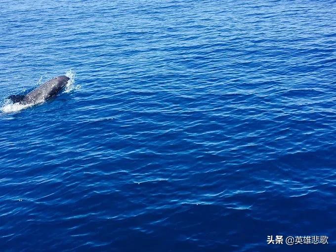 地球太平洋有多大,太平洋有多巨大