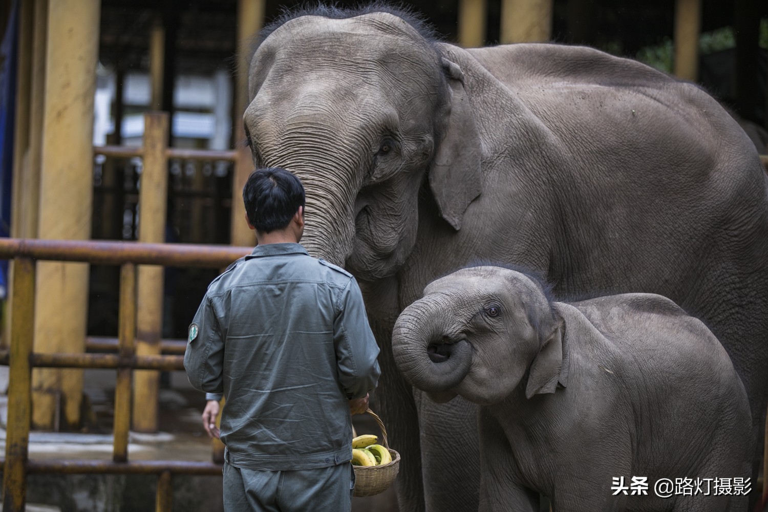 冬天应该也有最舒服的避寒胜地吧,这才是国内避寒的七座安逸城市
