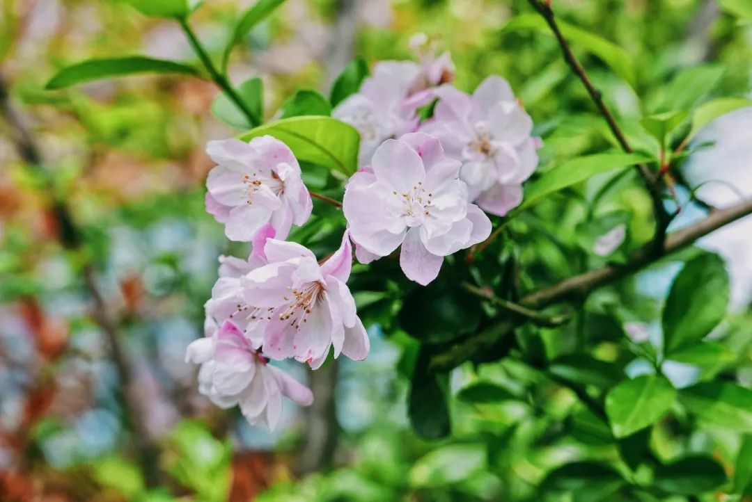 30句超唯美扎心的诗句,抒情温柔的唯美诗句