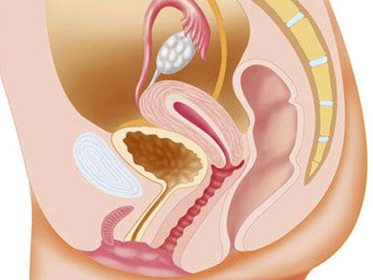 尿频尿急漏尿是啥原因吃什么药,50岁女人漏尿怎么治疗吃什么药