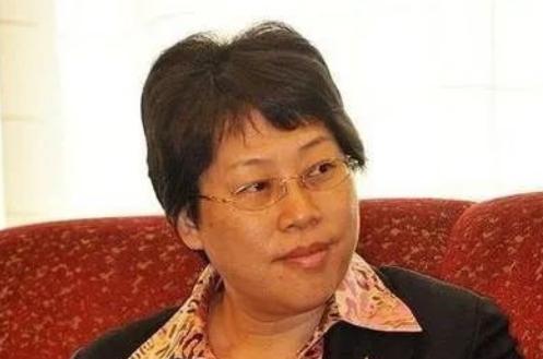 山寨机之父视频,山寨机之母