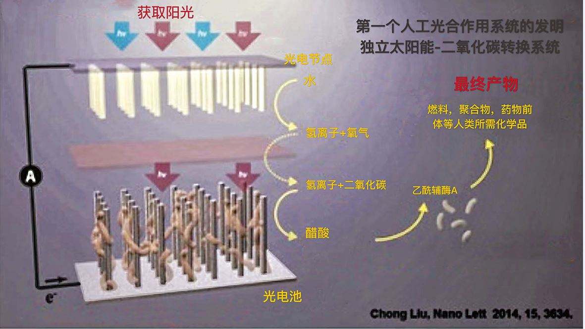 中国“人造太阳”新突破！今年冬季再冷也不怕？这个说法的确奇特