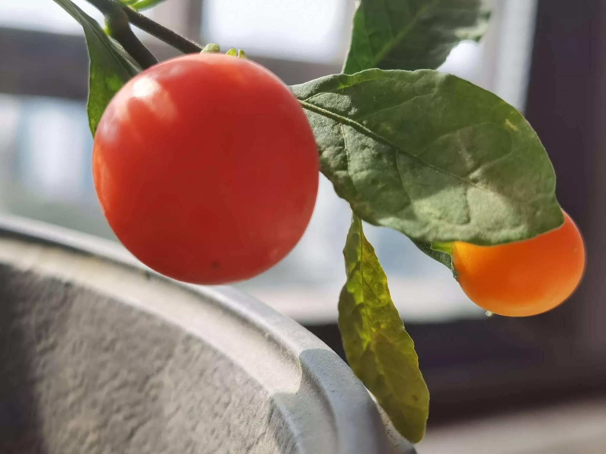 岁月斑驳留下来的都是静好时光,岁月斑驳愿时光静好