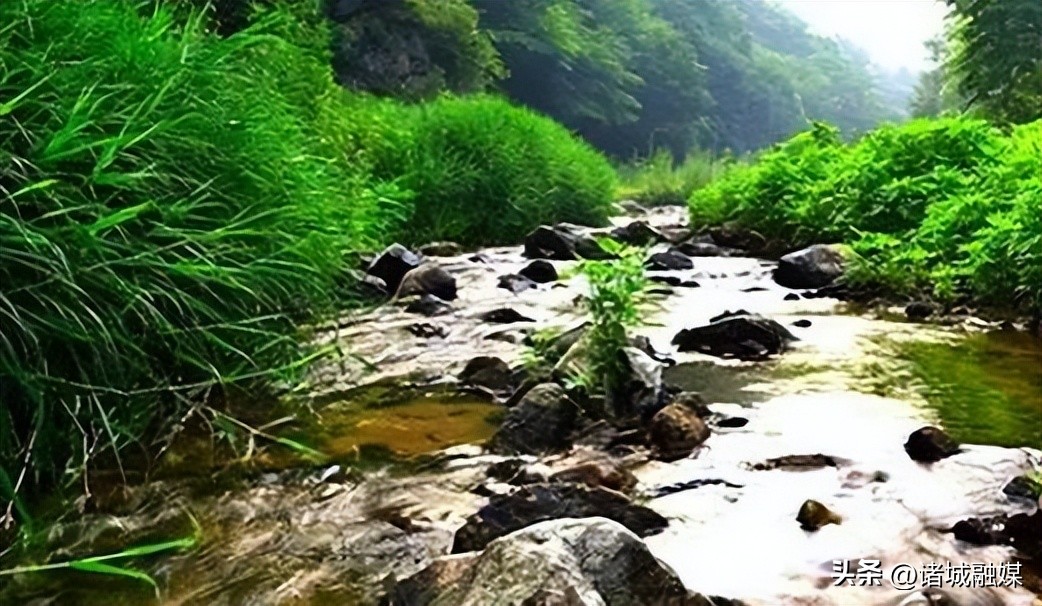 山东诸城历史遗址,龙溪村是哪个省的