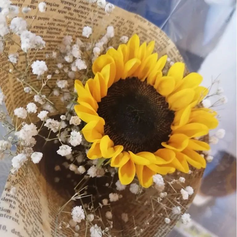 小众成熟霸气背景图,平常小众女生背景图