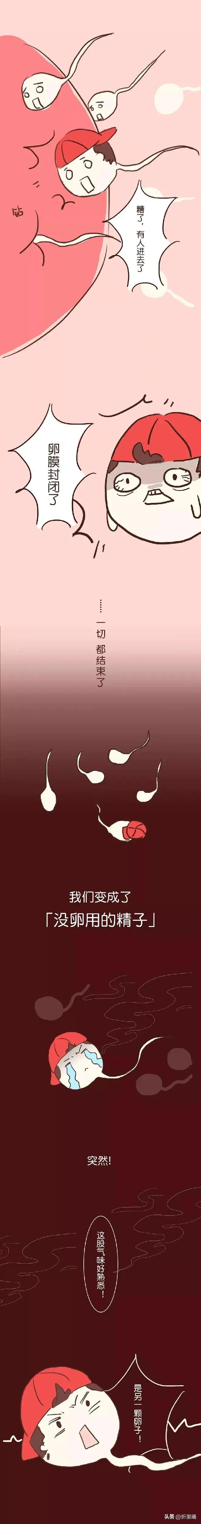 精子进入人体48小时变化,精子在人体24个小时都经历了什么