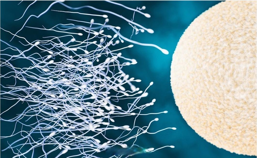 男人“同房”时，坚持时间越长越好吗？若能接近这个“数”，恭喜