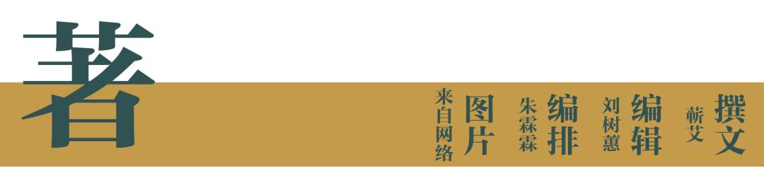 龙舌兰在现实中是怎么样的,十种最好看的龙舌兰
