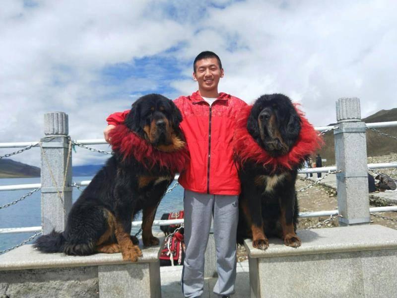 高校寝室风采展,大学生班级风采展示视频30秒