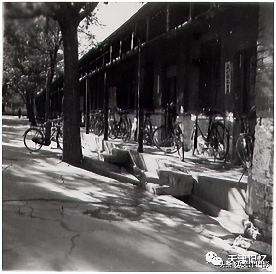 天津一中奖状,天津一中校徽图片