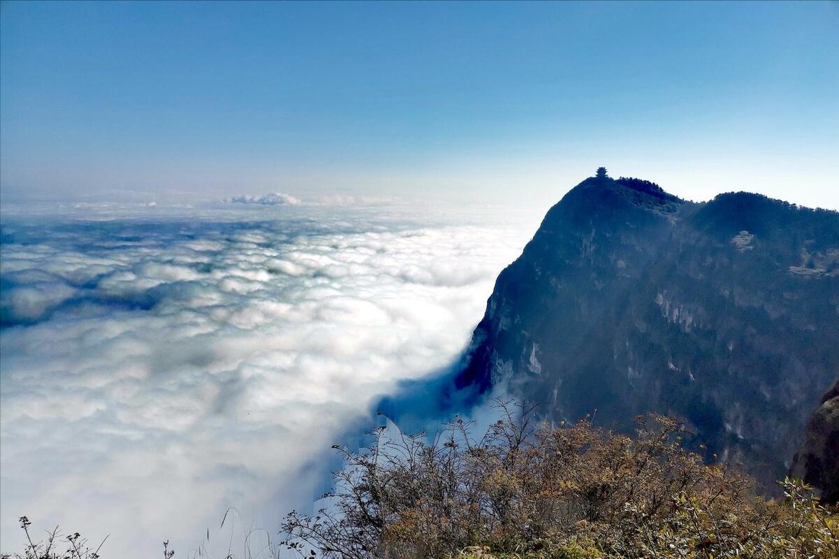 2001年湖北发现用熊猫陪葬的4000年古墓，这史前墓葬究竟是谁的？