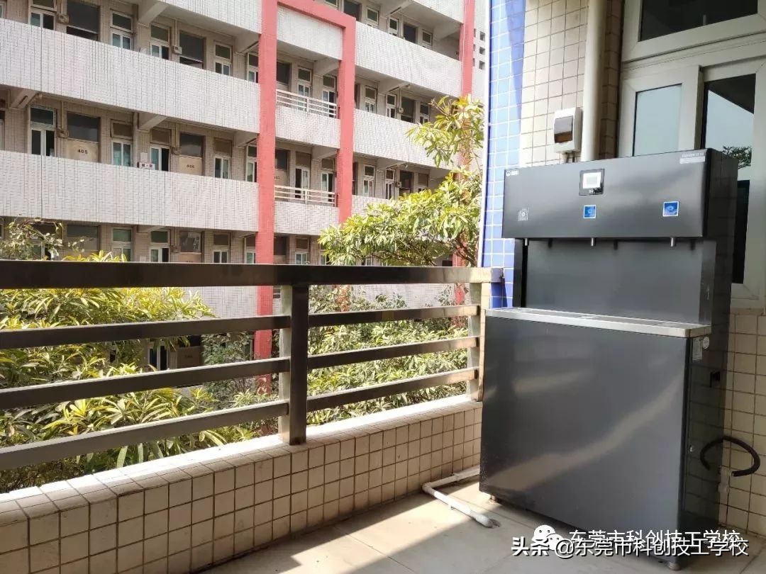 沉浸式体验校园生活的一天,东莞市技工学校推荐