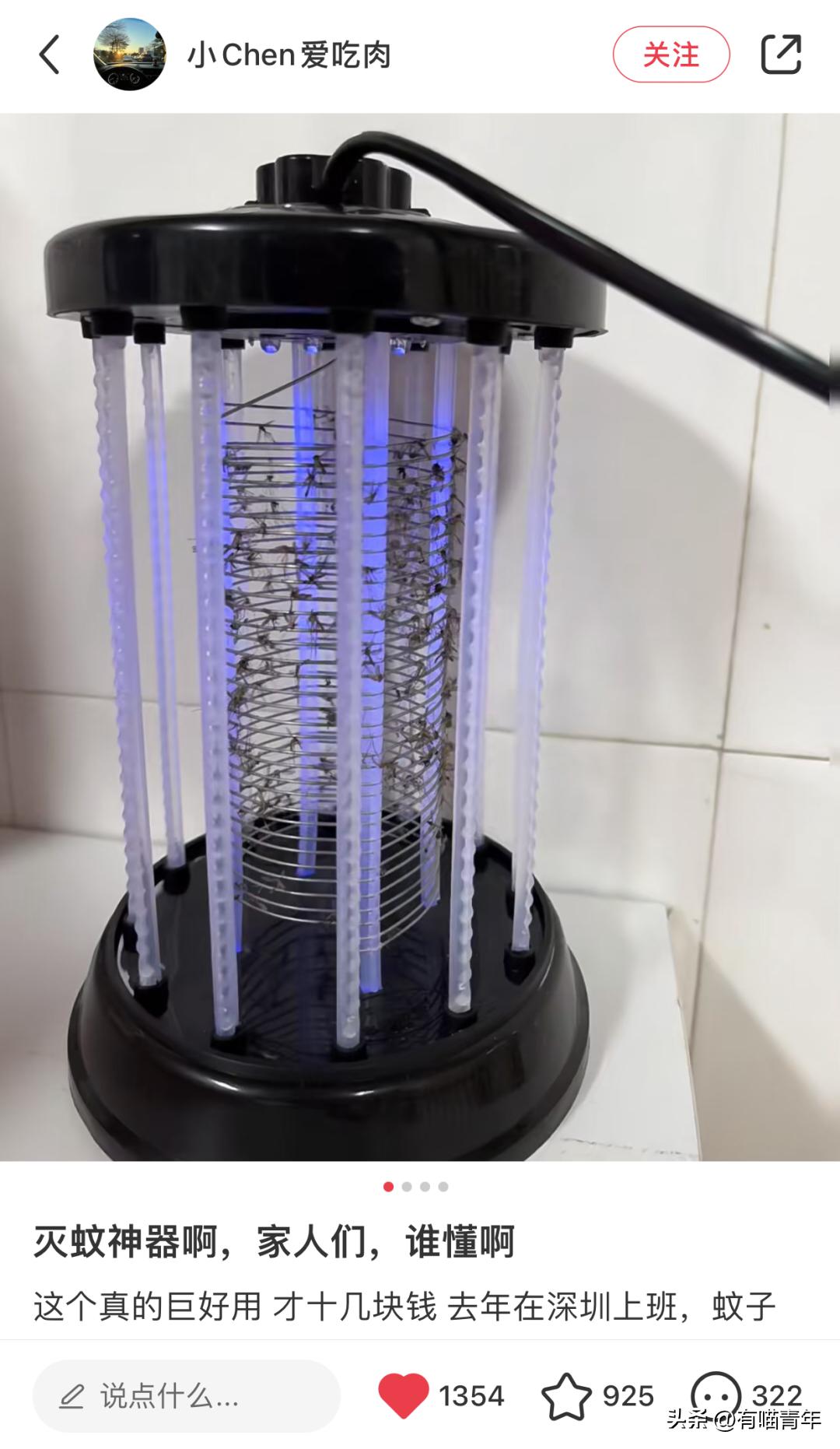 养猫有什么办法驱蚊子,养猫不可以用蚊香怎么驱蚊