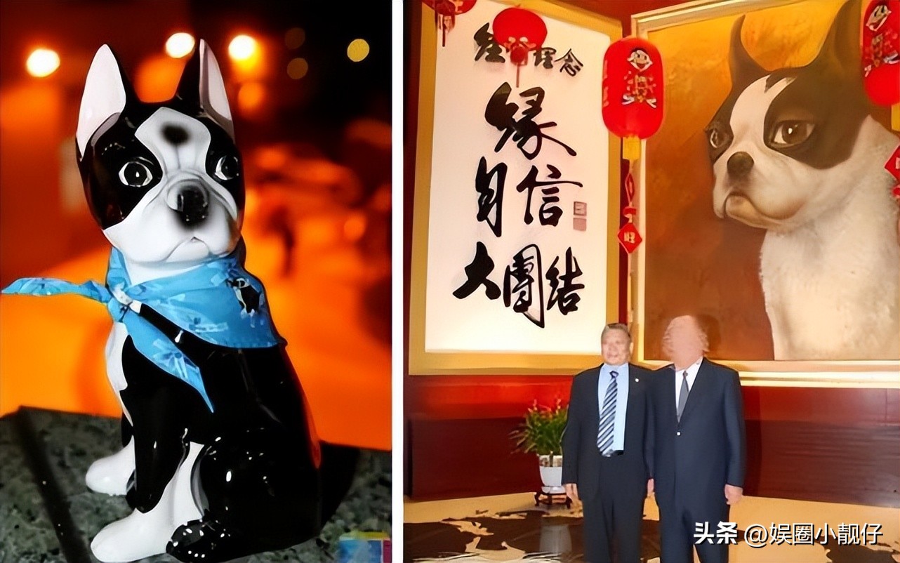 蔡衍明堂堂正正中国人,台湾中天董事长蔡衍明