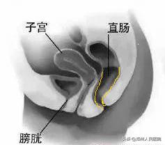 粑粑拉不出来是为什么,粑粑拉不出来按哪里