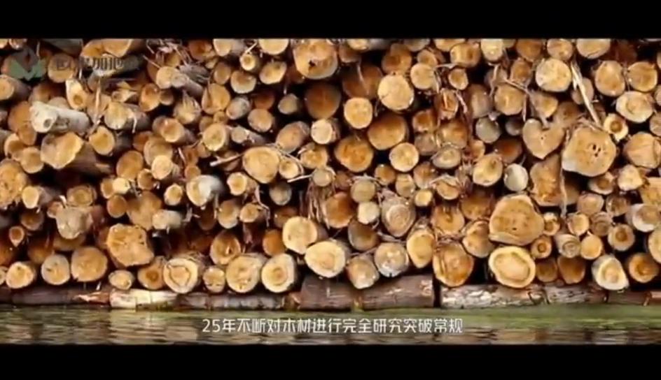 欧米茄木地板和圣象地板哪个好,欧米茄复合地板哪里有卖