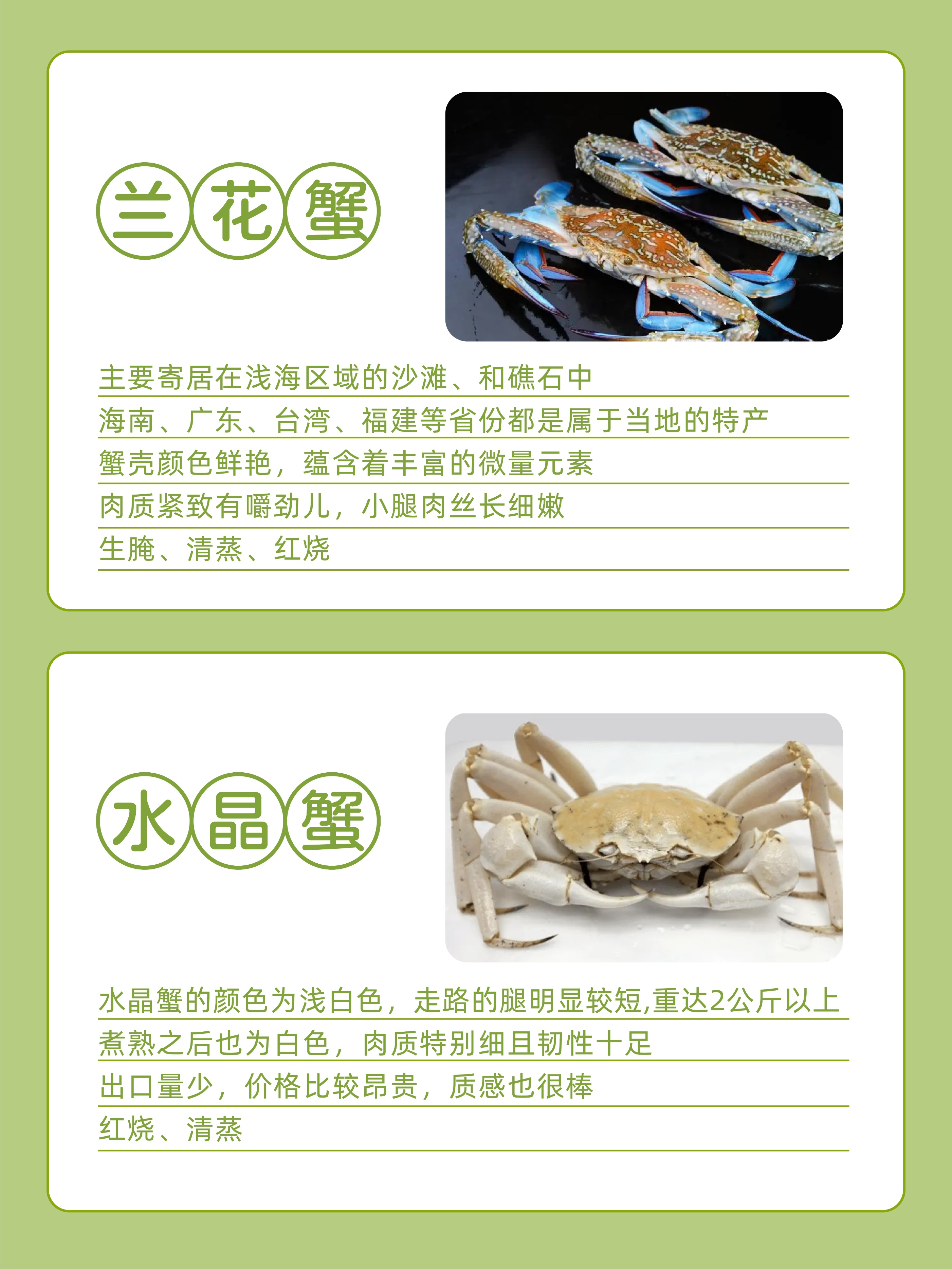 螃蟹的分类和食用方法,三亚常见的螃蟹种类