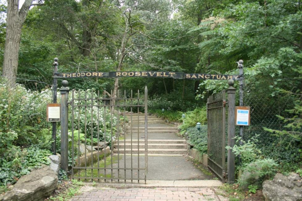 视得乐夜鹰测评,视得乐夜鹰