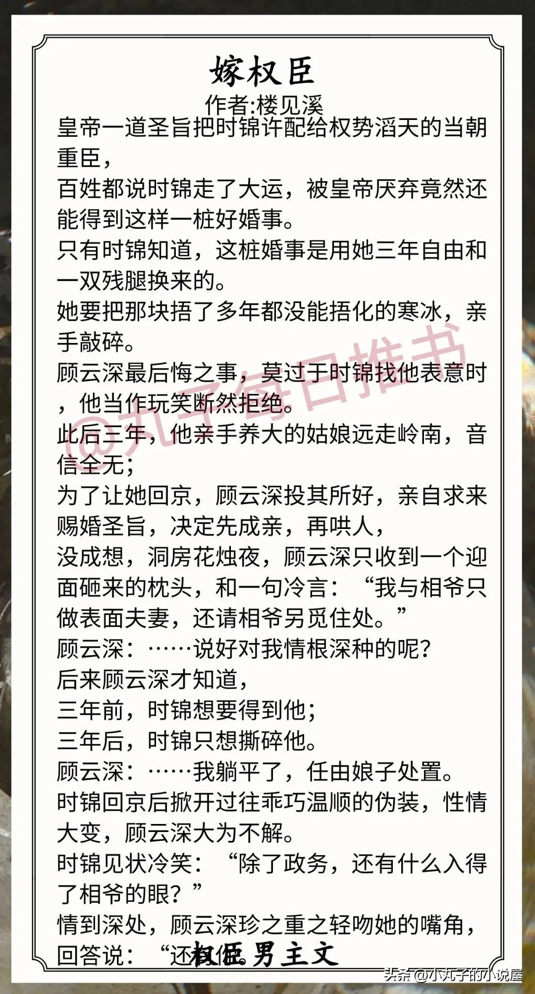 权臣男主文推荐,小说推荐权臣男主