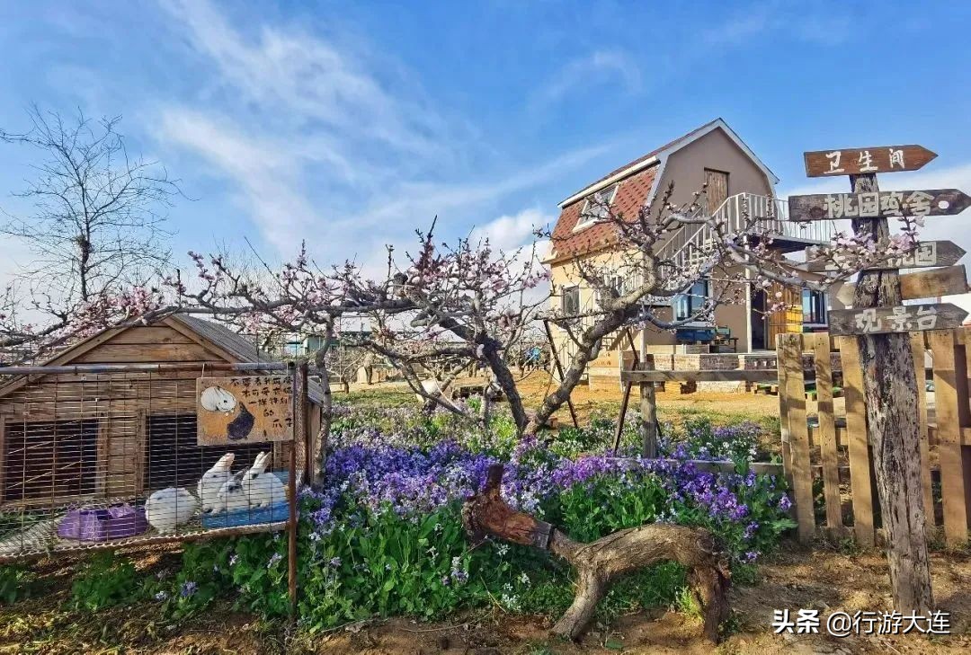 大连国庆遛娃好去处,大连春游遛娃最适合去的地方
