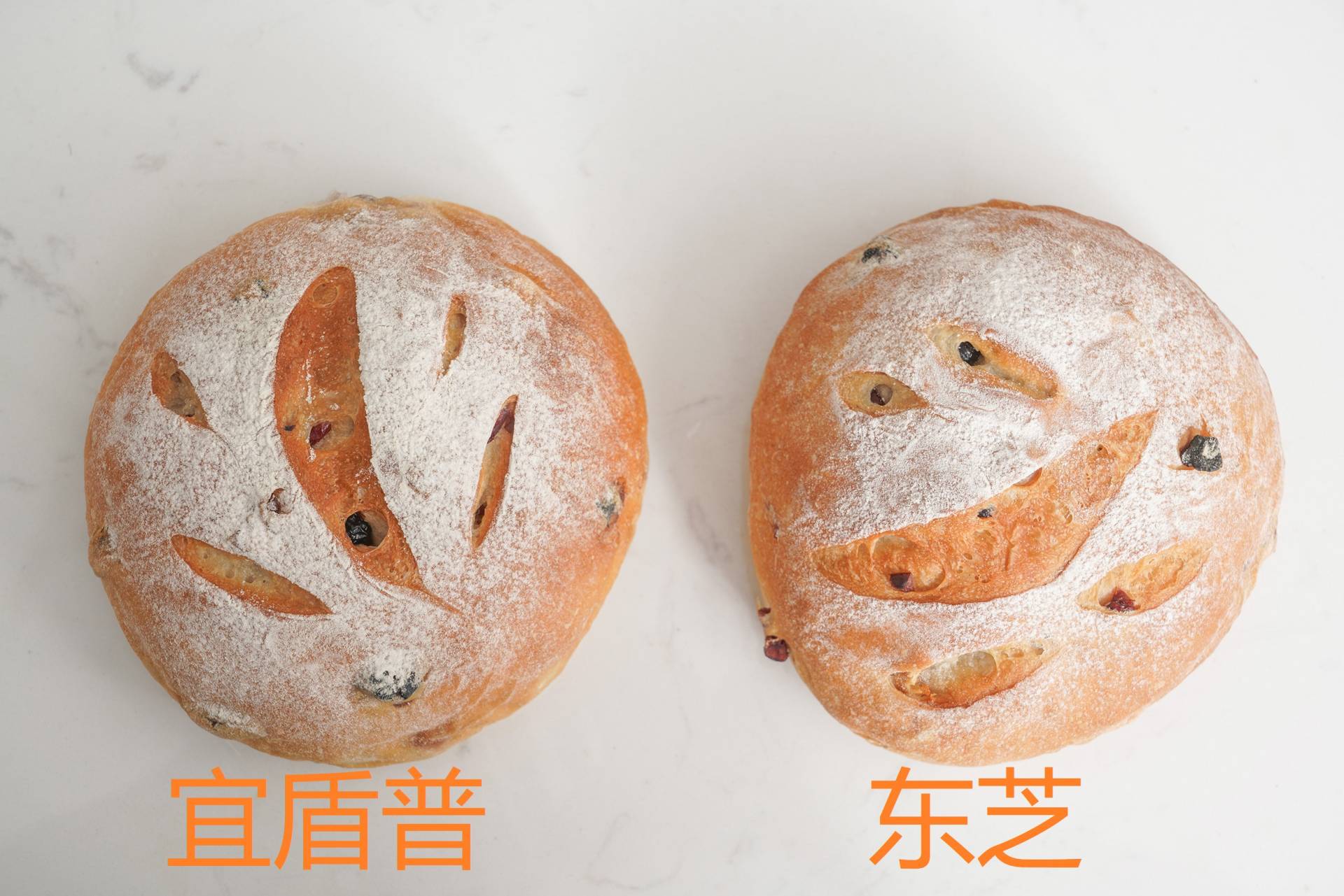 东芝32d水波炉蒸烤箱评测,东芝微蒸烤水波炉测评