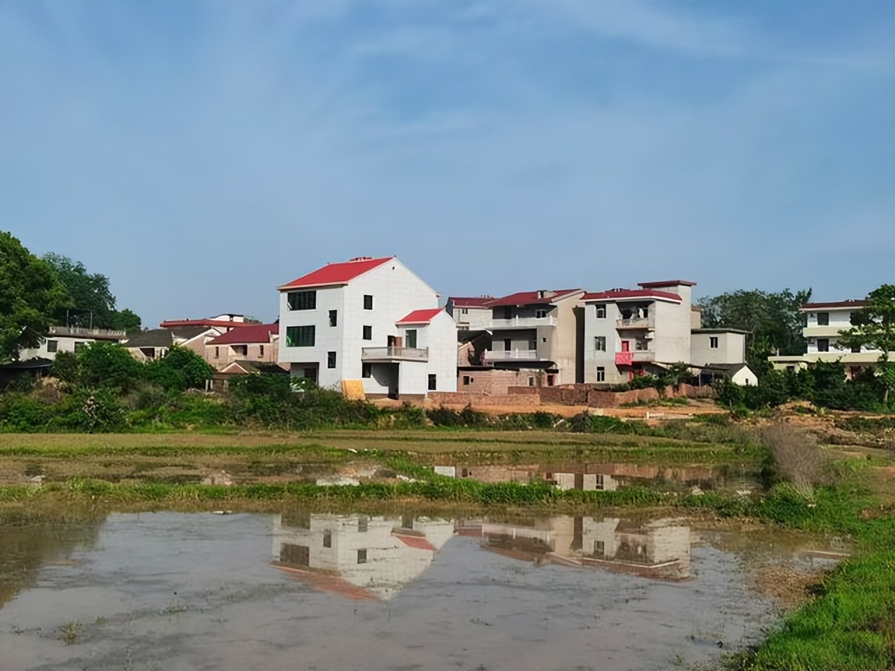 我，50岁老太太，21年投了2万，在深圳开包子店，2年时间赚了63万