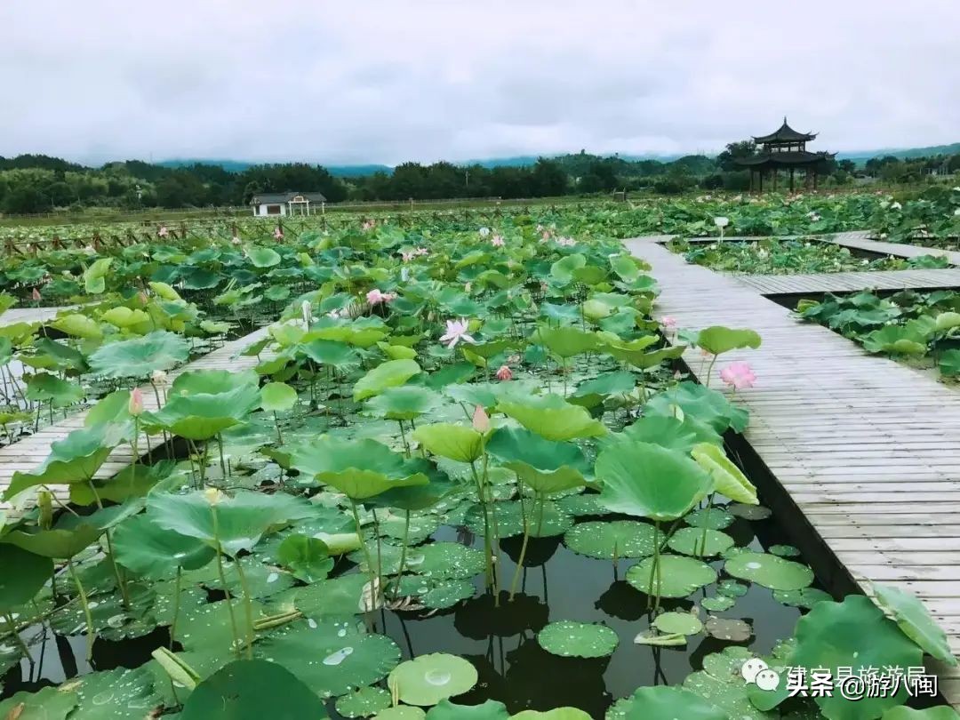 世界最大的梯田,世界梯田之最