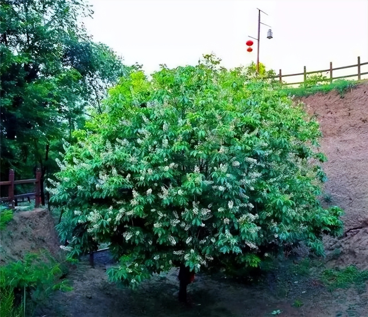 大美崇信，诚信之城欢迎您！