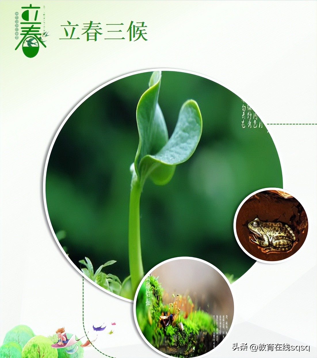 绔嬫槬鑺变俊椋庢湜鏄ヨ姳,浜屽崄鍥涚暘鑺变俊椋庡浘绔嬫槬