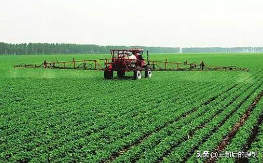 有机农业定义及现状,国内有机农业如何发展