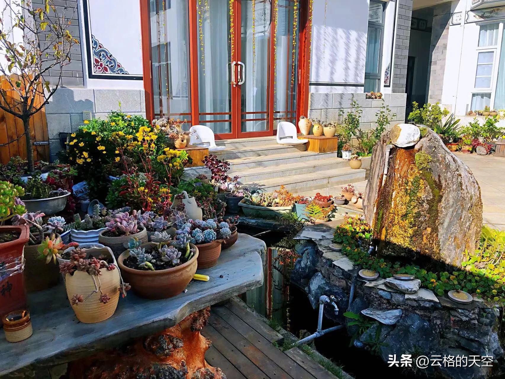 开皮卡女生视频,开着皮卡进藏女网红