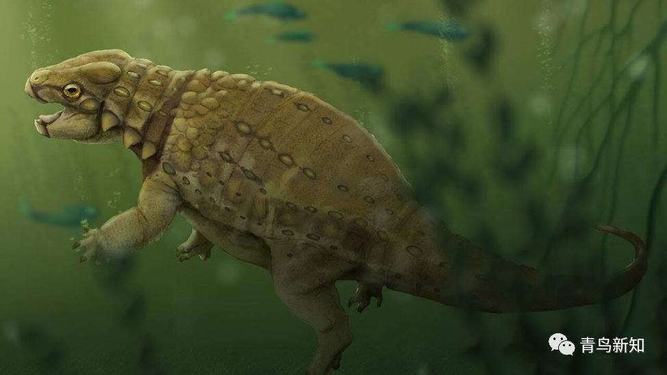 恐龙主题的铠甲可穿戴,恐龙战士怎么变身