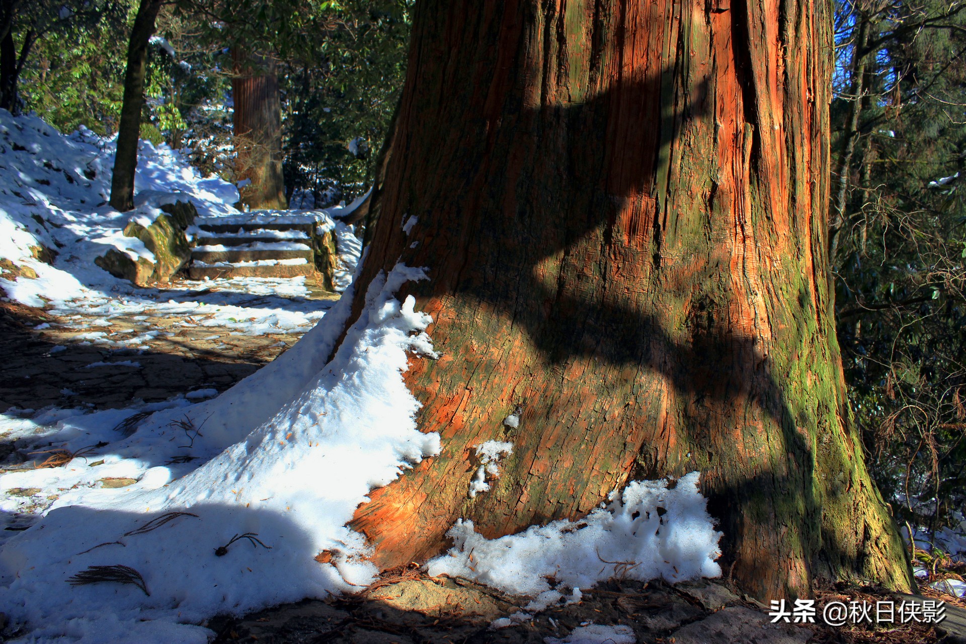 绂绘澀宸炴渶杩戠殑绉洩,鏉窞绉洩