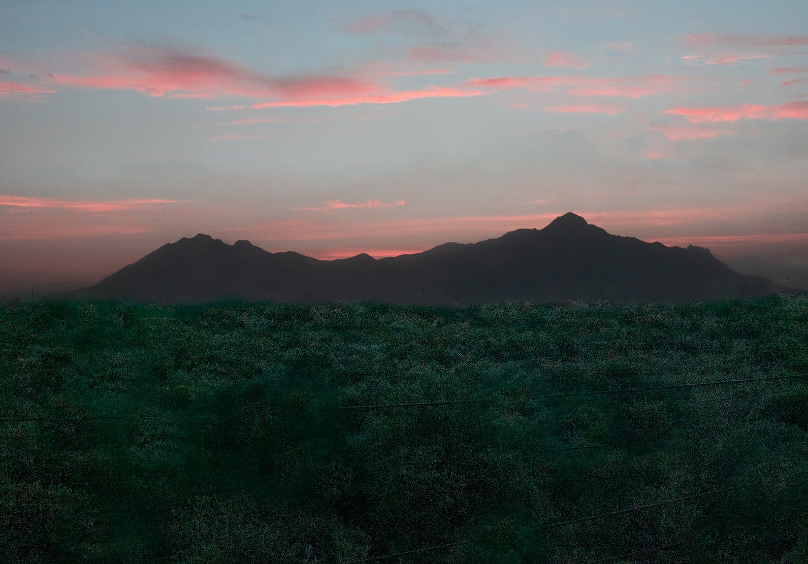出国工作要考虑的问题,出国工作后的真实感悟