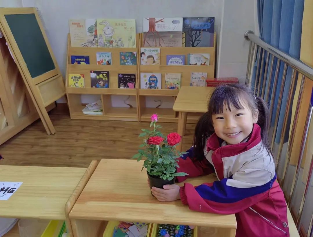 洪雅县第四幼儿园叫什么名字,洪雅第四幼儿园在哪里