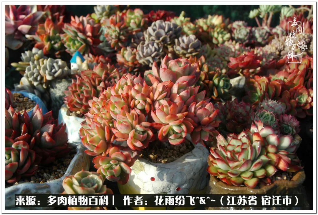 快乐的童年时光视频,回味快乐的童年美好的时光