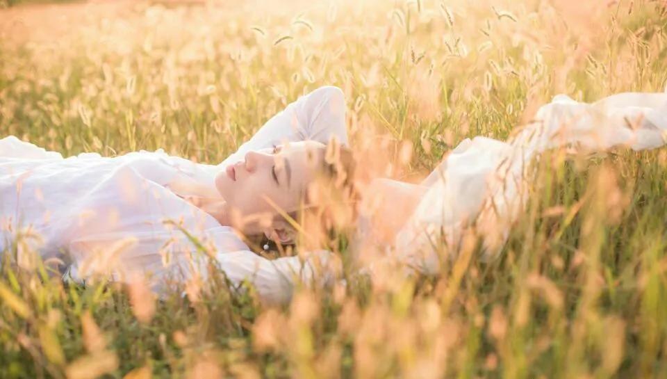 野有蔓草零露漙兮有美一人,野有蔓草零露漙兮书法