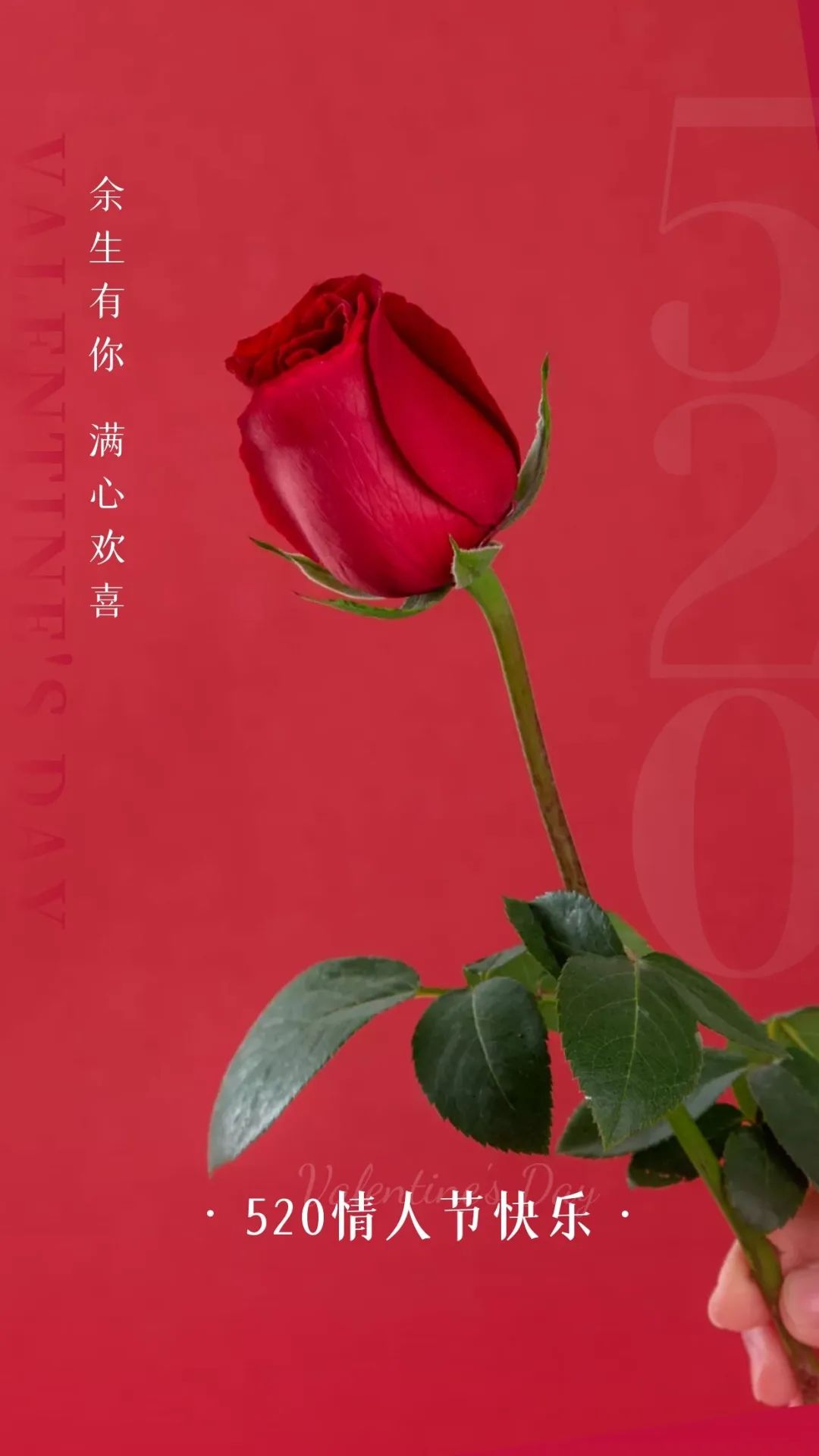 早安语录暖心短句文案图片,2015早安正能量的句子图片