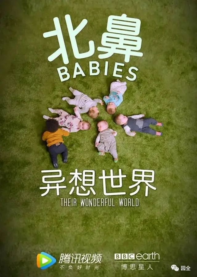 暑假让孩子看这些纪录片,暑假给孩子看这四部纪录片