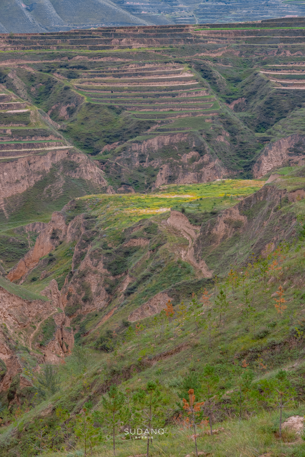 甘肃定西被评为不适宜居住地,甘肃定西薯都简介