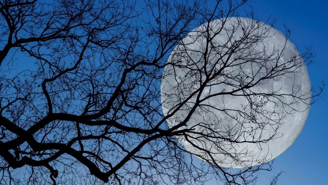 李贺大漠沙如雪原文,李贺的诗最经典的十首