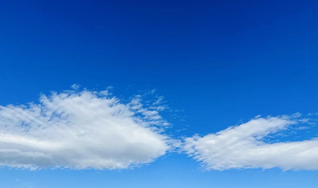 冬季洱海看海鸥最佳地方,这个冬天洱海该有多浪漫