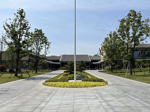 鍒濆涔嬫梾榛勯噾娴峰哺,鍒濆涔嬫梾