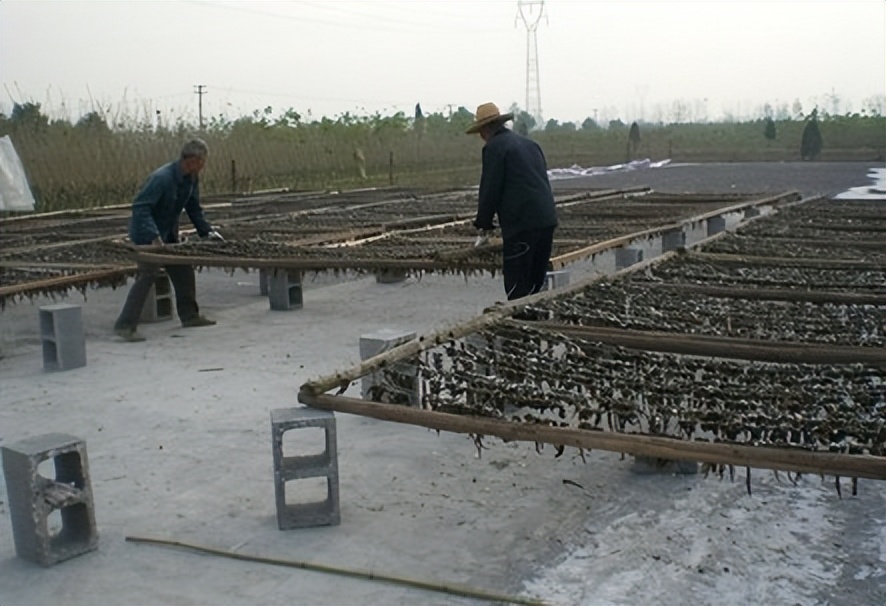 水蛭立体养殖箱制作材料,牡丹江水蛭立体养殖