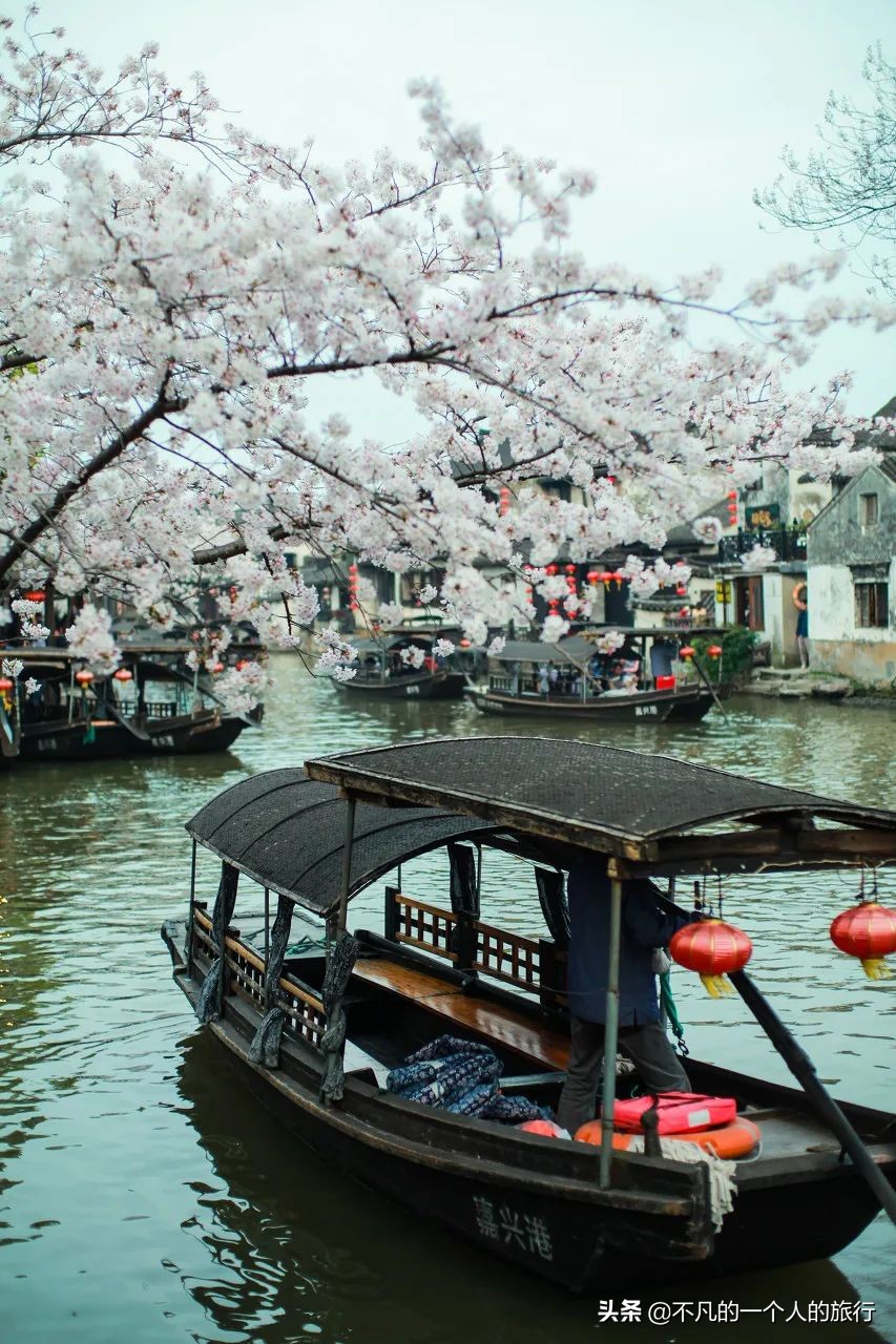 这座佛系安逸的江南老城被赞“全国最美森林火车站”