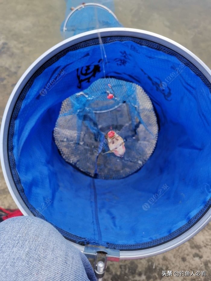 趁休假再来水库，终获大鱼一枚