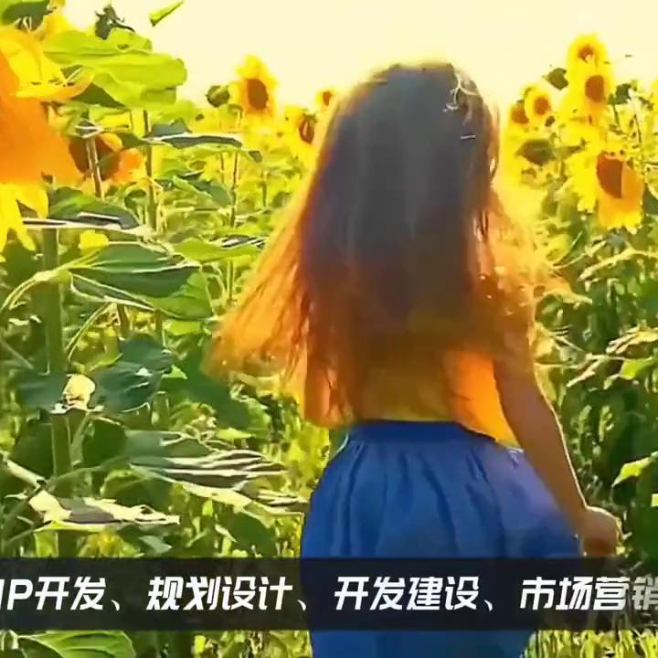 鑱旀父鏂囨梾,娴欐睙鑱旀父鏂囨梾闆嗗洟鏈夐檺鍏徃