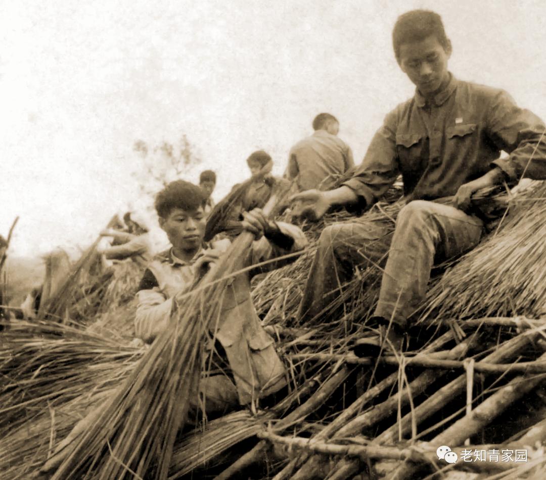 在农村当知青七八十年代,回想在农村插队时